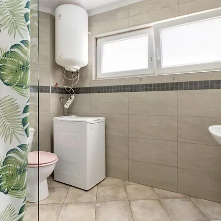 Flores5 * San Bartolome de Tirajana (Gran Canaria)